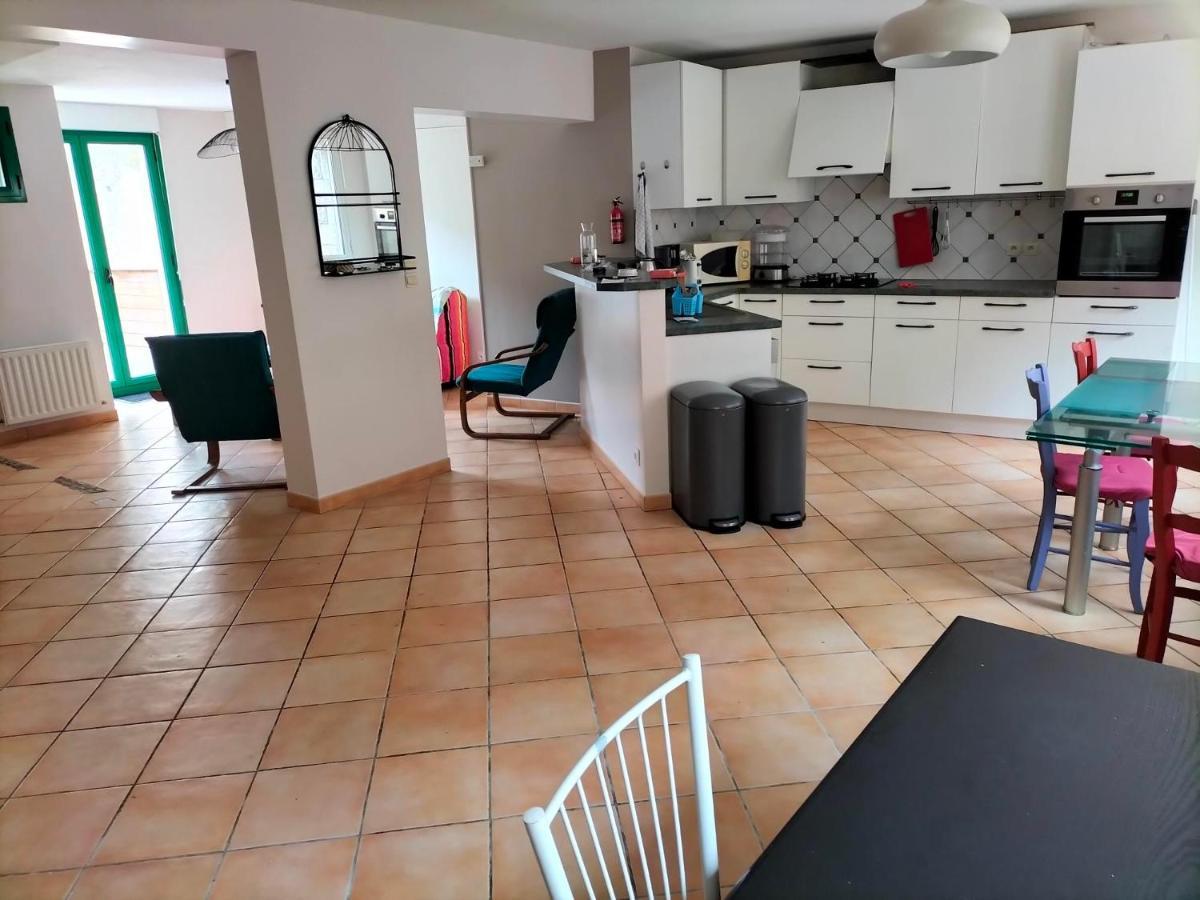 Appartement Au Centre Ville Avec Un Beau Jardin Prive ラニオン エクステリア 写真